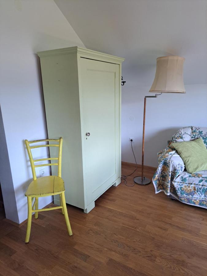 Apartma Art&Deco ブレッド エクステリア 写真